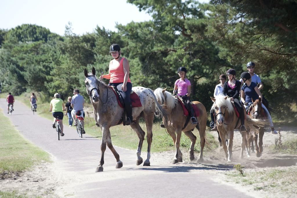 Bungalows - Bungalowpark Mooyeveld - Uniek Gelegen In De Duinen! เอกมอนด์-บินเนิน ภายนอก รูปภาพ